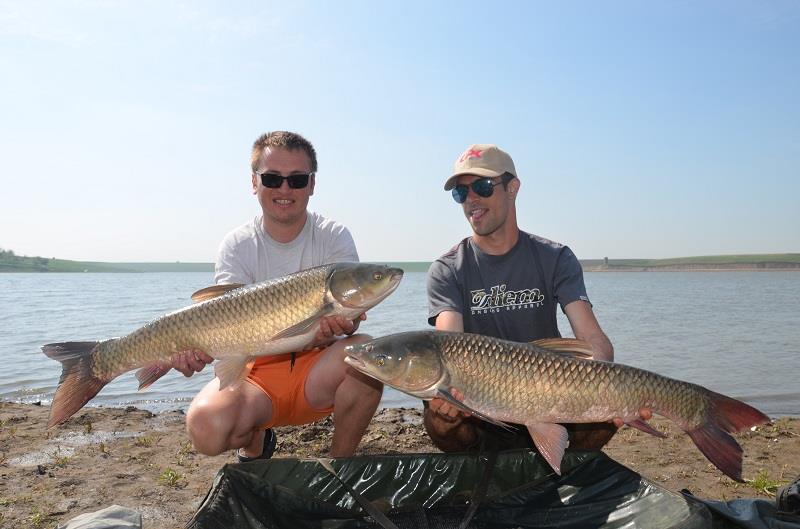 Desfasurare CN APCR Arrow Sarulesti 27 aprilie - 2 mai 2013 - dsc0503.JPG